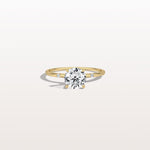 1CT Hidden Halo Lab Diamond Engagement Ring with Side Accents - Rings