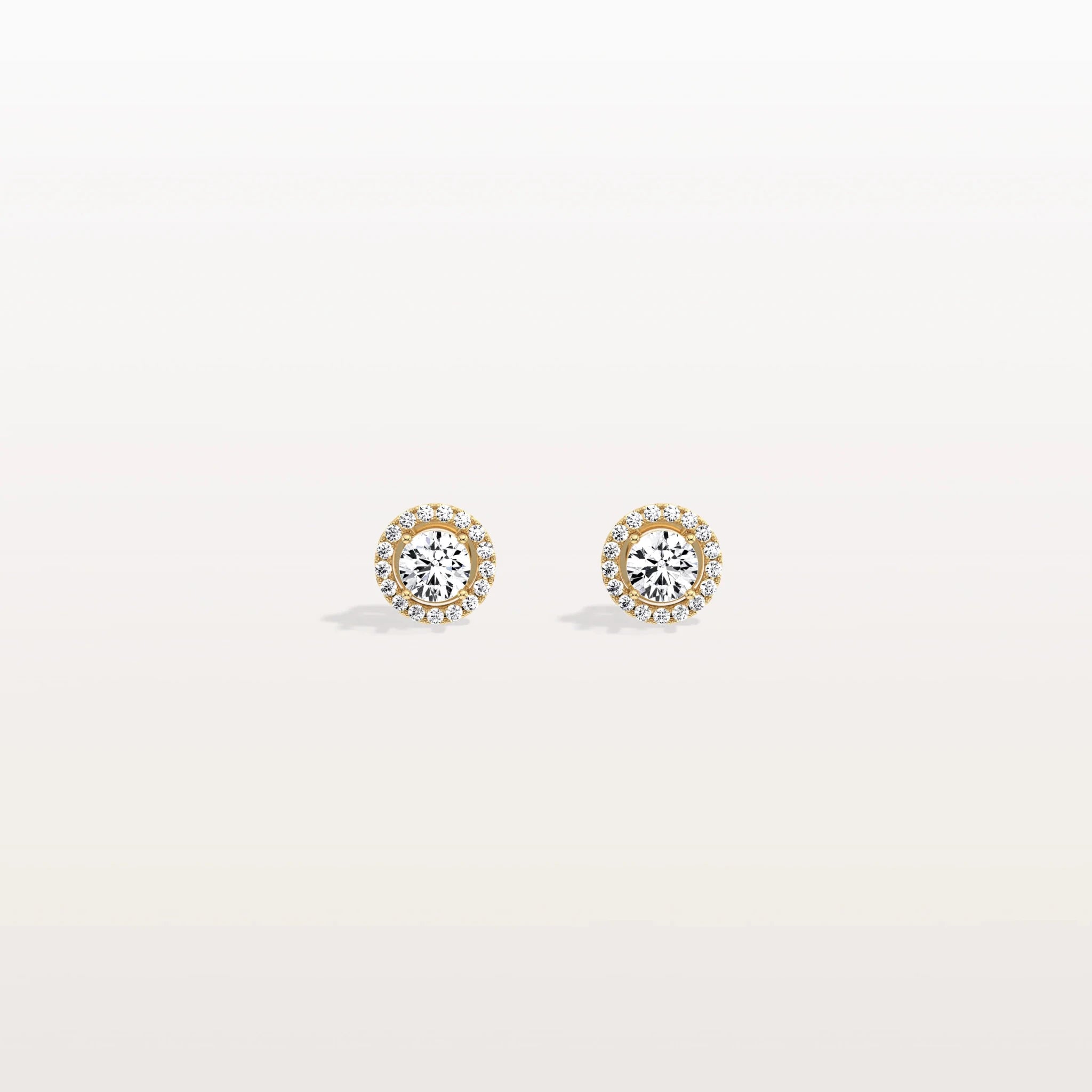 Best Sellers - Leonids