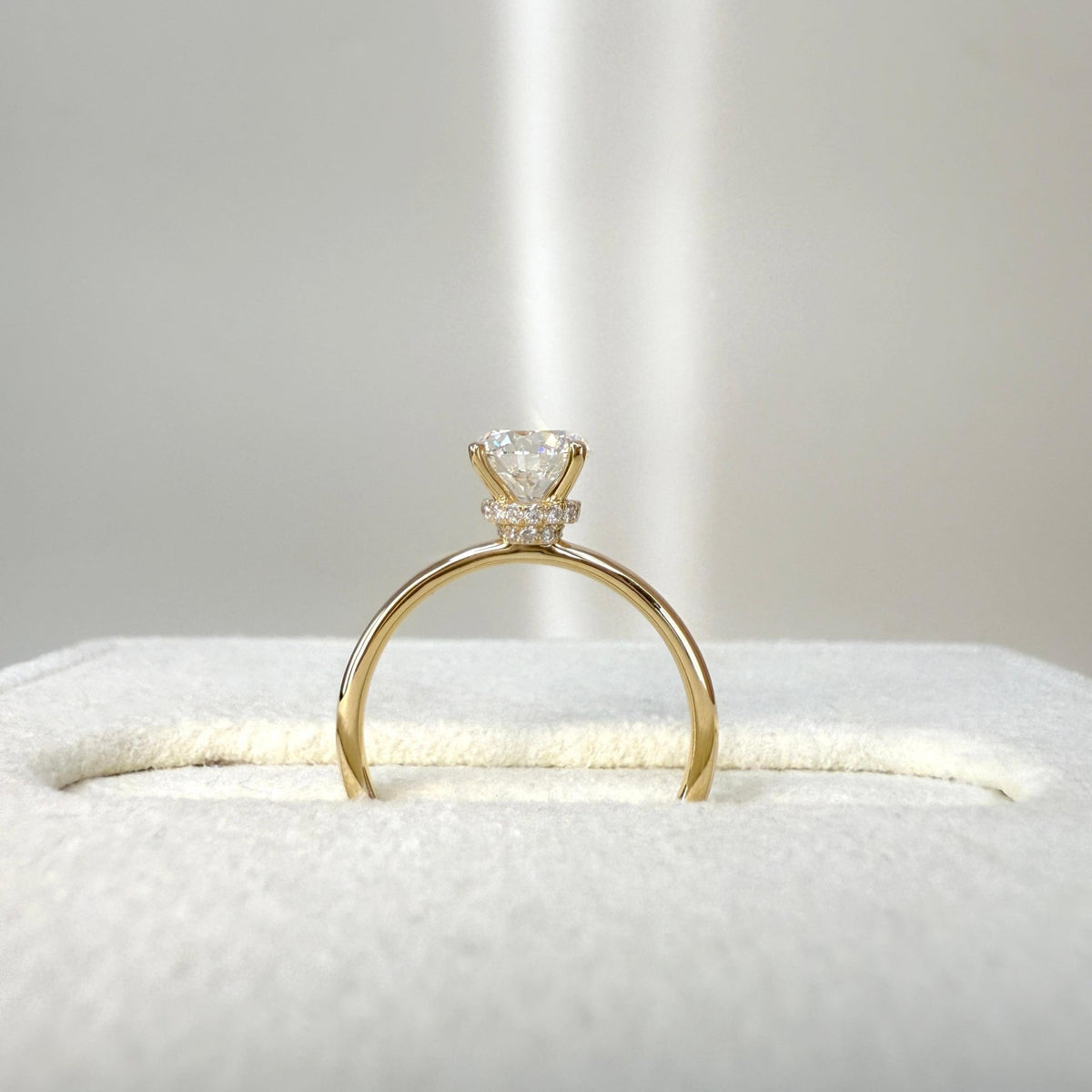 Talia丨2CT Round Lab Grown Diamond Double Hidden Halo Ring - Rings
