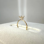 Talia丨2CT Round Lab Grown Diamond Double Hidden Halo Ring - Rings