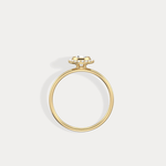 Round Lab Grown Diamond Halo Promise Ring In 14K Solid Gold/Platinum - Rings