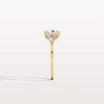 1CT Radiant Cut Lab Diamond Three Stone Engagement Ring In 14K Solid Gold/Platinum - Rings