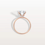 3CT Round Lab Grown Diamond Double Hidden Halo Ring - Rings