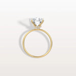 3CT Round Lab Grown Diamond Double Hidden Halo Ring - Rings